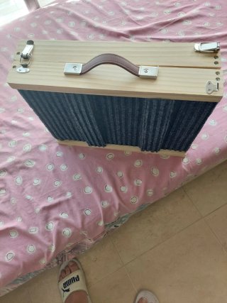 Rampa para perros plegable