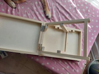 Rampa para perros plegable