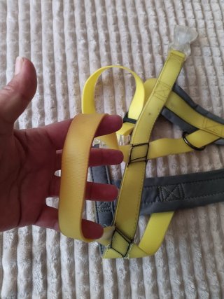 Arnés y 2 correas para perro
