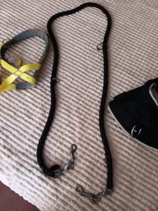 Arnés y 2 correas para perro