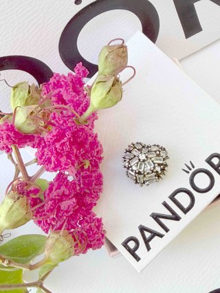 Pandora Charm Plata