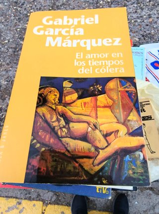 El amor en los tiempos del cólera - García Márquez