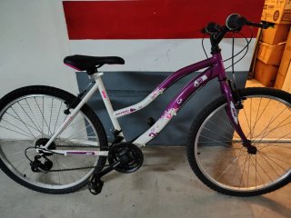 Bicicleta Montaña Morada y Blanca