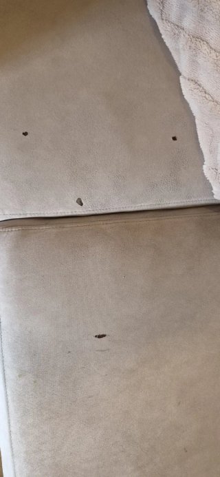 Sofá chaise longue beige tela
