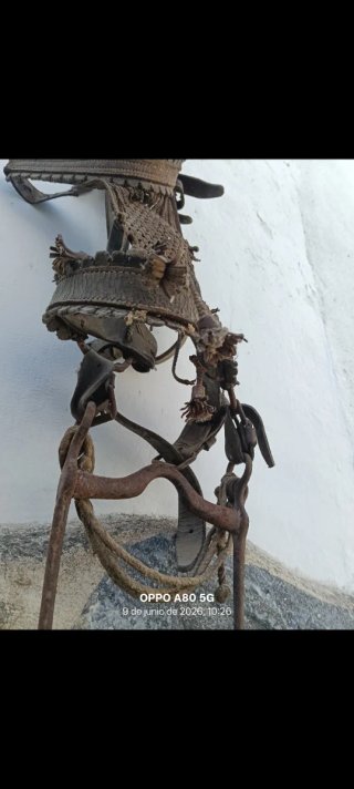 Antico morso da cavallo/mulo in ferro battuto in perfette condizioni