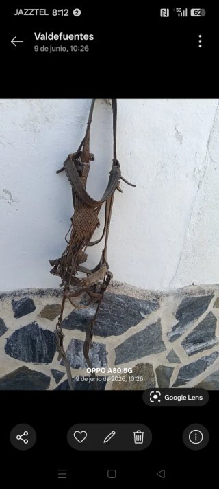Antico morso da cavallo/mulo in ferro battuto in perfette condizioni
