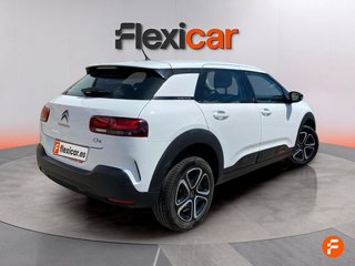 Citroën C4 Cactus PureTech 110 S&S C-Series