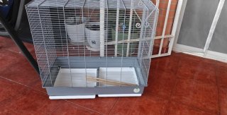 Jaula grande para pájaros