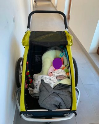 Remolque para bicicleta Croozer