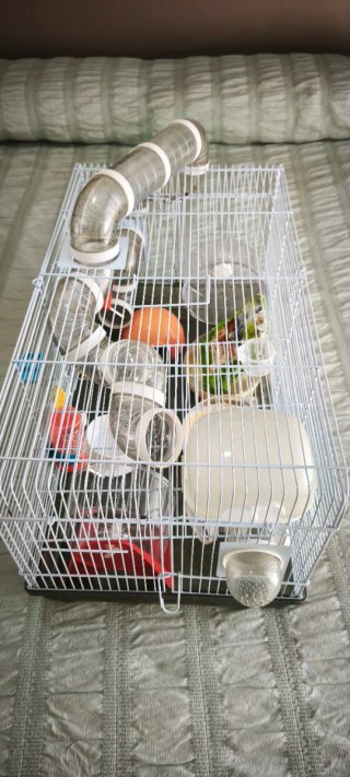 Jaula Hamster Transparente con Tubos