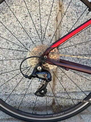 Specialized Allez Sport 2020 T52 Shimano Sora