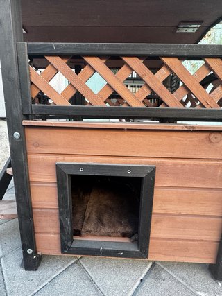 Casita para gatos / perros con terraza y escalera