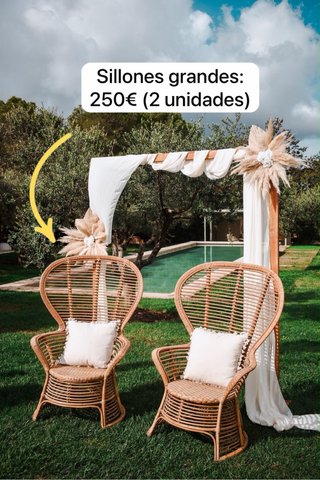 2 Sillones de Mimbre Grandes