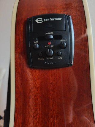 Epiphone Hummingbird Pro