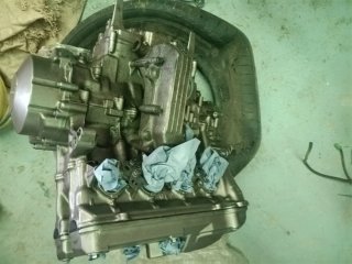 Honda Hornet CB600F 2004 Despiece