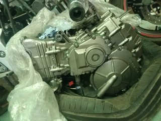 Honda Hornet CB600F 2004 Despiece