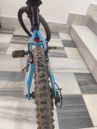 Bicicleta Infantil 20 Azul