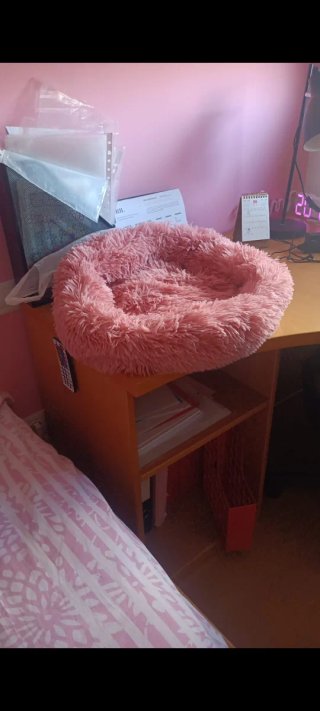 Cama redonda felpa gato marrón/rosa 16x50 SIN USO