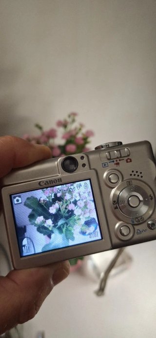Canon Digital IXUS 40 Cámara Plata