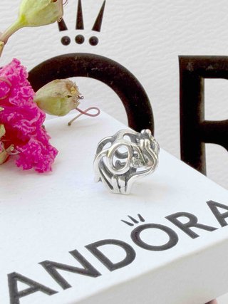 Pandora Charm Plata