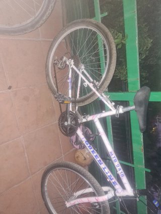 Bicicleta GREEN LINE MTB 2418