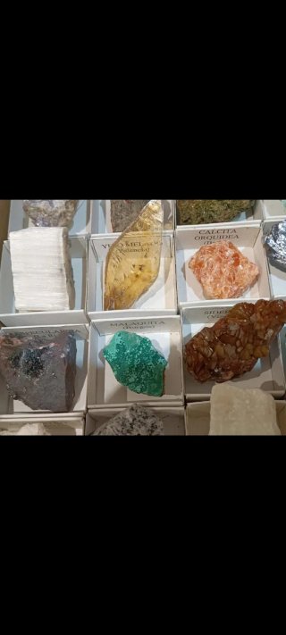 Collezione di 30 minerali