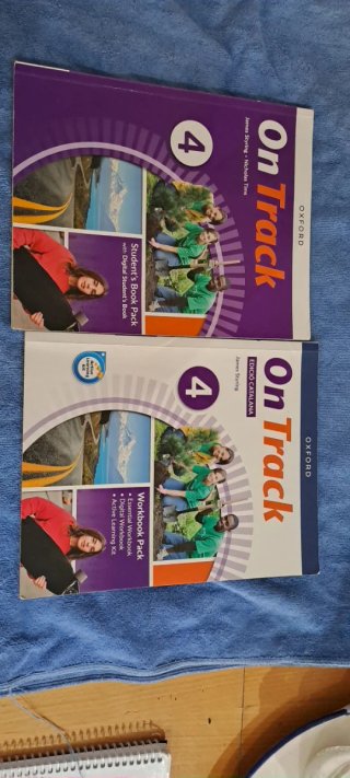 Llengua i Literatura, 4 ESO, edició per blocs, ...