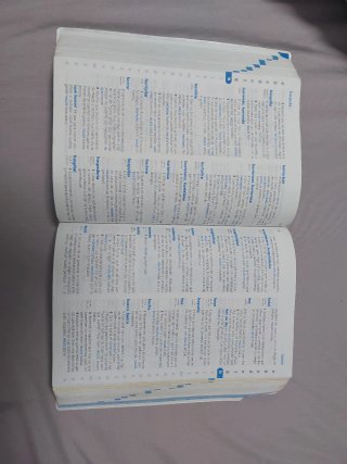 Diccionario de Primaria