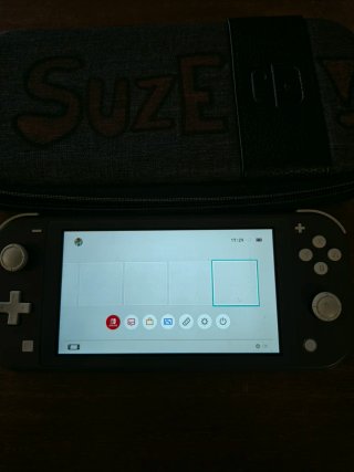 Nintendo Switch Lite Grigio + Custodia