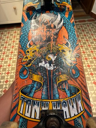 Skate Birdhouse Tony Hawk