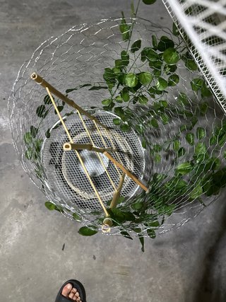 Jaula decorativa con plantas artificiales