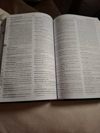Diccionario manual griego clásico-español
