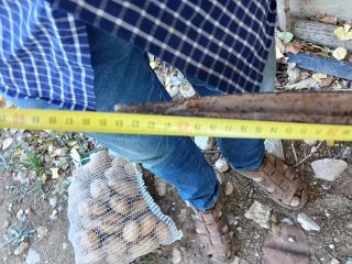 Formones 30x30 mm arado vertedera