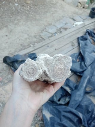 Minerali