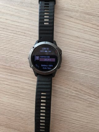 Garmin Fenix 6 Pro Zafiro DLC Gris Carbón