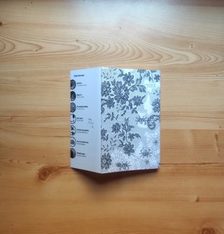Punt d'aranya (N) - Catalán