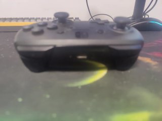 Controller Nintendo Switch Pro