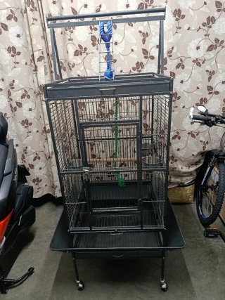 Jaula para loro 60x60