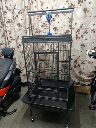 Jaula para loro 60x60