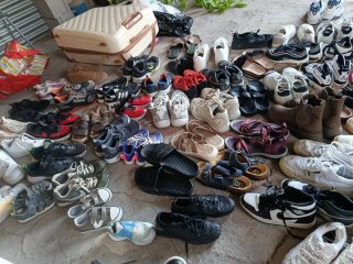 Lote Zapatos y Bambas Variados