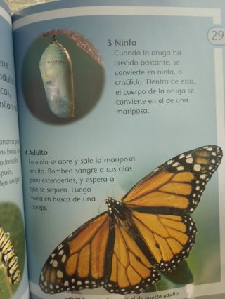 Libros educativos para niños