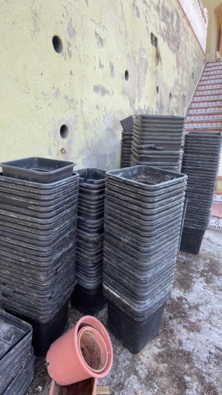 100 Macetas aprox. cuadradas de plástico negro