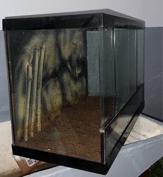 Terrario cristal negro