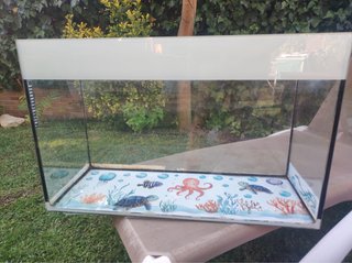 Acuario