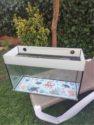 Acuario