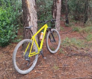 Specialized Epic Hardtail Carbon Talla L