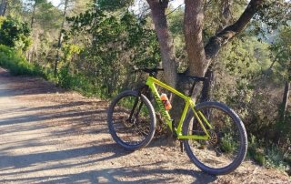 Specialized Epic Hardtail Carbon Talla L
