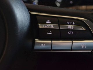 Mazda CX-30 e-SKYACTIV-X 2.0 137kW Homura