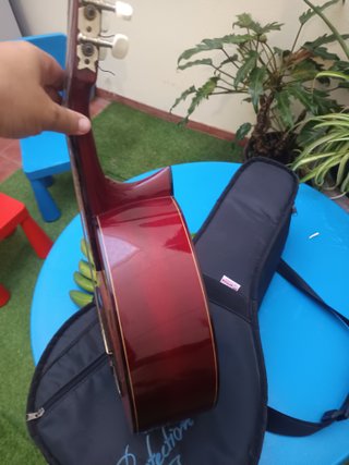 Bandurria con funda