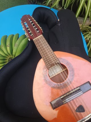 Bandurria con funda